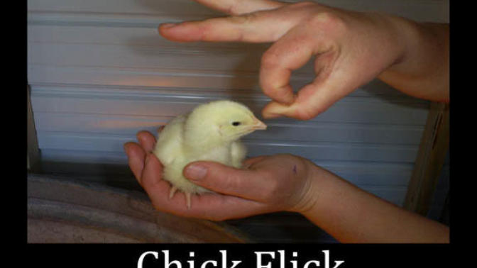 Girls, Do you get mad when a guy calls a movie a "chick flick"?