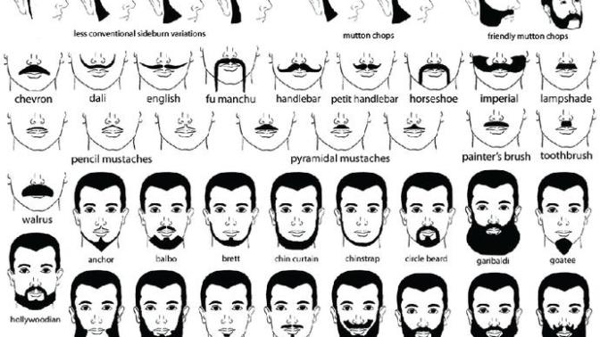 What facial hair would you like or like your boyfriend to have?