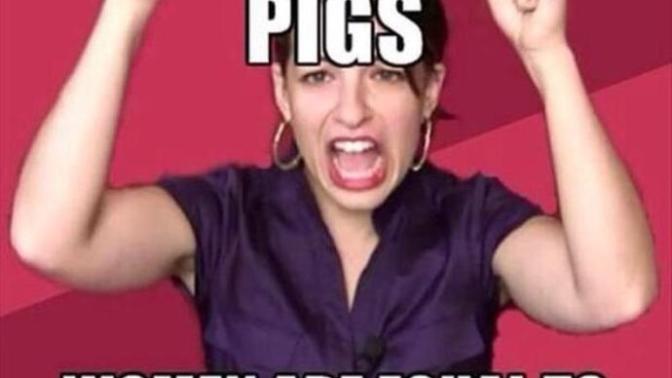 If men are pigs and woman are equal to men, doesn't that make woman pigs also?