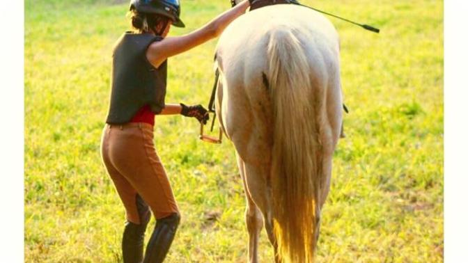 Would you date an equestrian?
