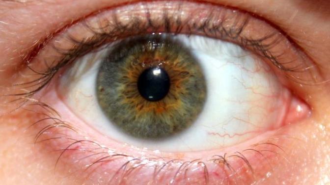 What do you think of hazel eyes?