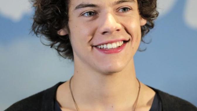 Do girls fancy Harry Styles for his hair, are long curls attractive in a guy?