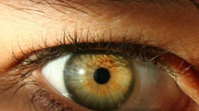 How is the eyecolor going to turn out?