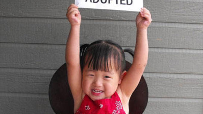 Does adoption attracts you?
