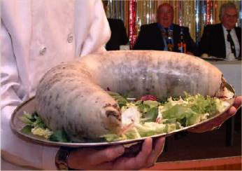 What were the weirdest foods you have ever eaten?