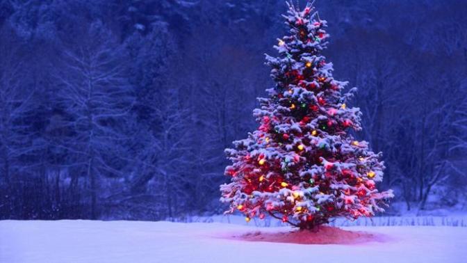 What are your 2 favorite holidays?