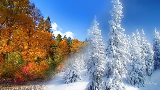 What are you looking forward to the most in Fall or Winter?