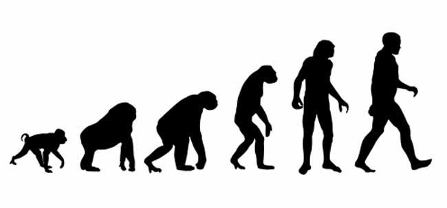 What would the world Look Like If Humans Never Existed?