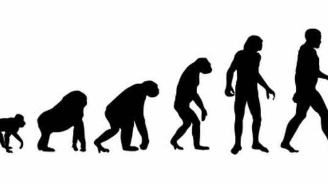 What would the world Look Like If Humans Never Existed?