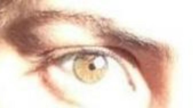 What colour do you think these eyes are?