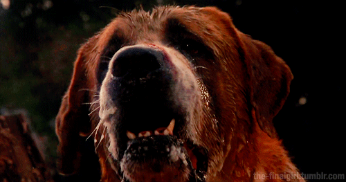Which Stephen King novel/film really freaked you out as a kid?