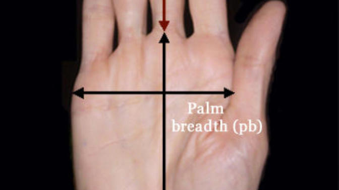 Do you have abnormally long fingers?