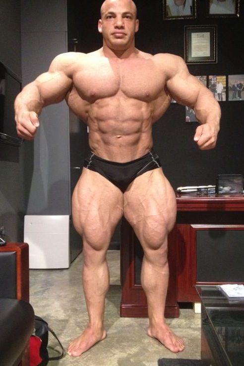 Male Physique - Bodybuilder / Gymnast / Swimmer / Yogi ?
