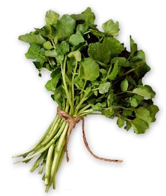 Have you ever tried watercress?