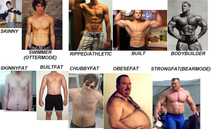 Girls, What body type do girls like & personality is not an answer. ignore this question mark.?