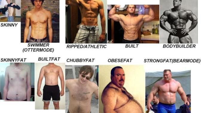 Girls, What body type do girls like & personality is not an answer. ignore this question mark?