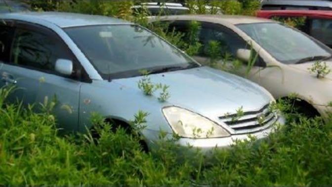 What do you think of the Japanese culture of cars being replaced once they hit around 5 years old?