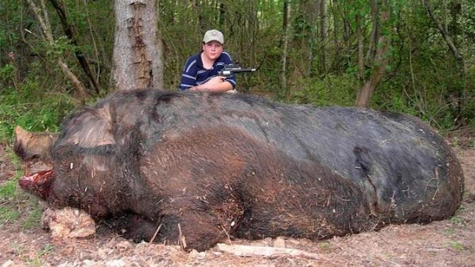 My new 30 year old boyfriend say he wants me to funnel his Hog! What the Hell does he mean?