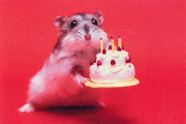 I want to wish @mooky06 a Happy Birthday?
