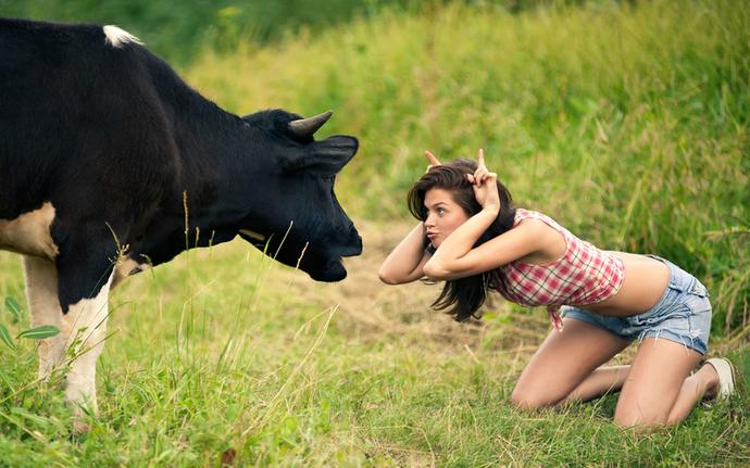 If cows could talk would they tell you not to eat them?