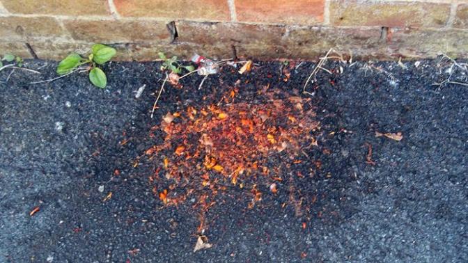 Have you ever been served pavement pizza?
