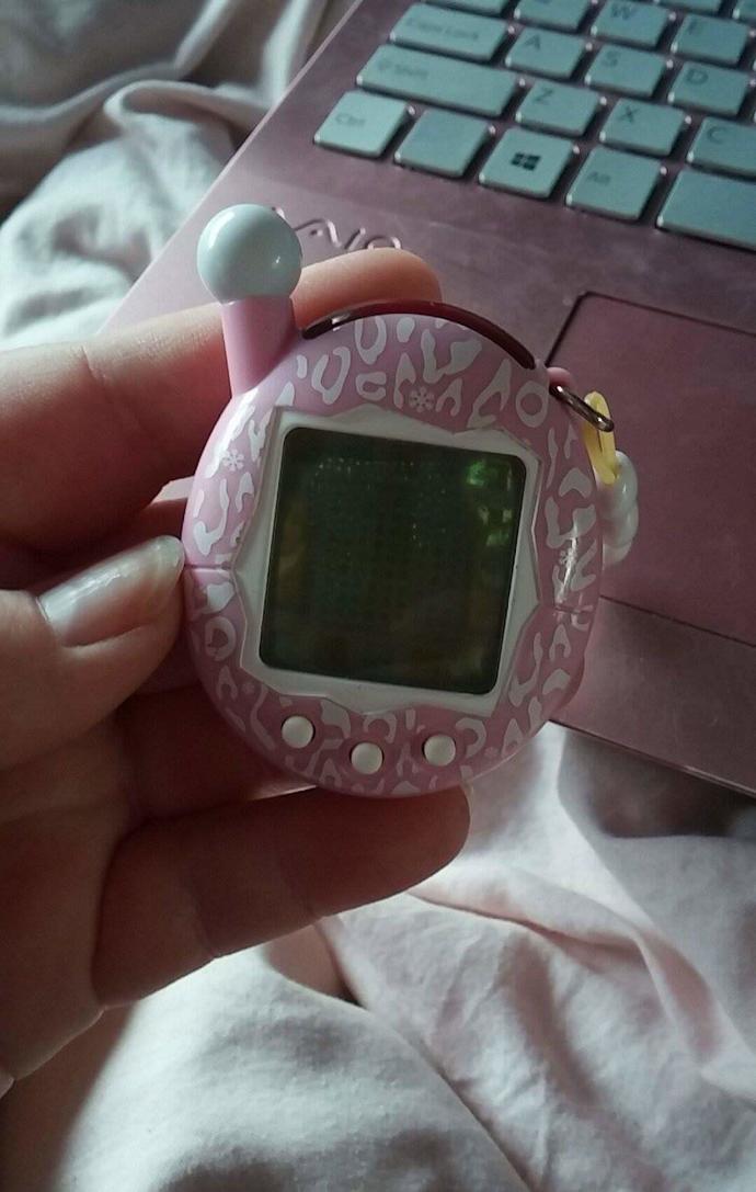 Did you ever have a tamagotchi, do you still have it?