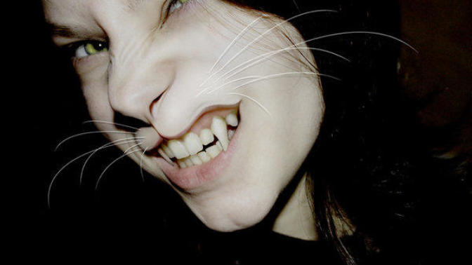Which beast girl do you find hot? Cat, mouse, dog, pig, or Chelsea?