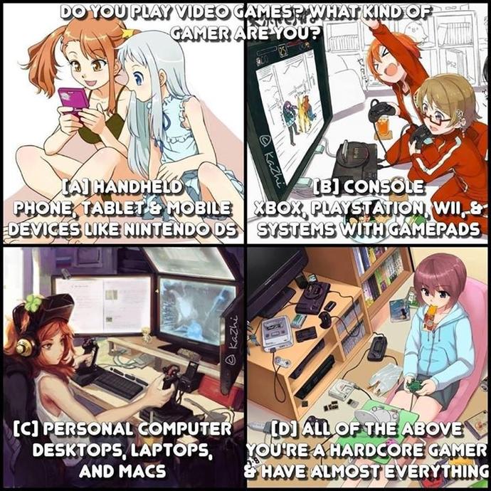 Which kind of gamer are you?