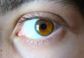 Favorite brown eye color shade?