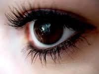 Favorite brown eye color shade?