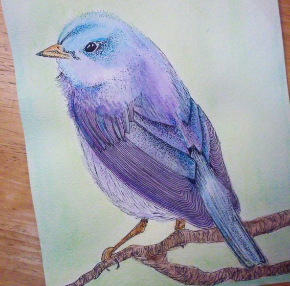 What level of drawing do you think I'm at?