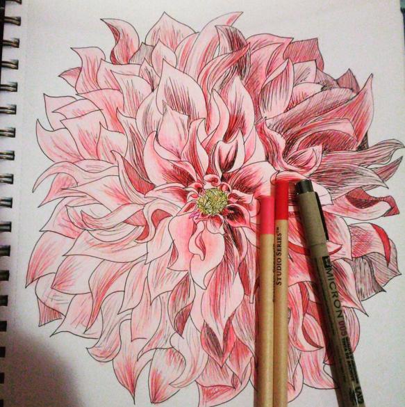 What level of drawing do you think I'm at?
