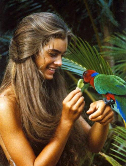 Rate Brooke Shields /10?