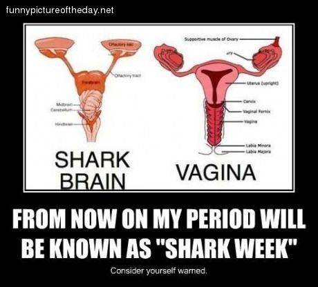 Whats the best way for a man to deal with a chick's awful PMS?