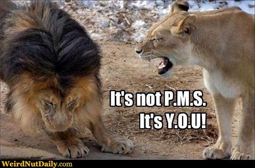 Whats the best way for a man to deal with a chick's awful PMS?