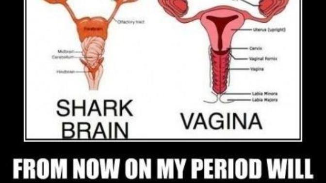 Whats the best way for a man to deal with a chick's awful PMS?