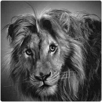 What are the Tools for realistic drawing? Can anyone help me?
