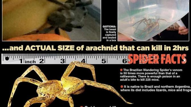 Would you be will to try this experimental drug when it comes out?