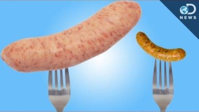 Does size matter? (Evolution says maybe yes)?