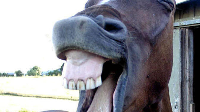 (Quiz) What would you taste like?