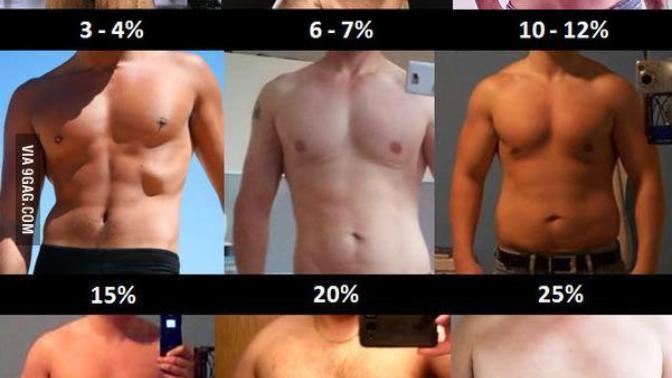 Which of these body fat percentages am I currently closest to and which one looks the best?