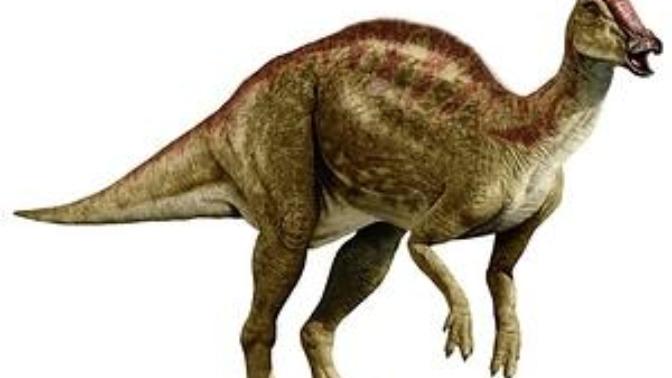 What Dinosaur are you?