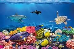 Would you rather: EXPLORE the depths of the Ocean , or the vastness of Space?