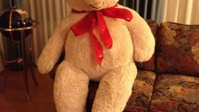 Girls if your boyfriend bought you those big huge teddy bears would you like that?