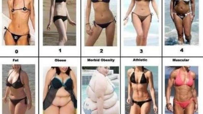 Which female body type do you prefer?
