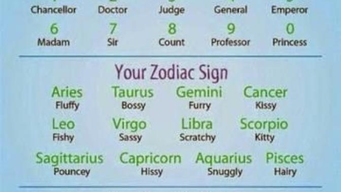 (QUIZ) WHAT'S YOUR CAT NAME 🐱🐱🐱 ?