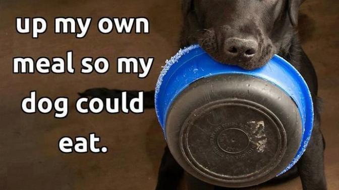 If you were stranded with your pet and had one last meal.. who gets it you or your pet?