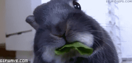 What vegetable would make a good weapon in case of an emergency?