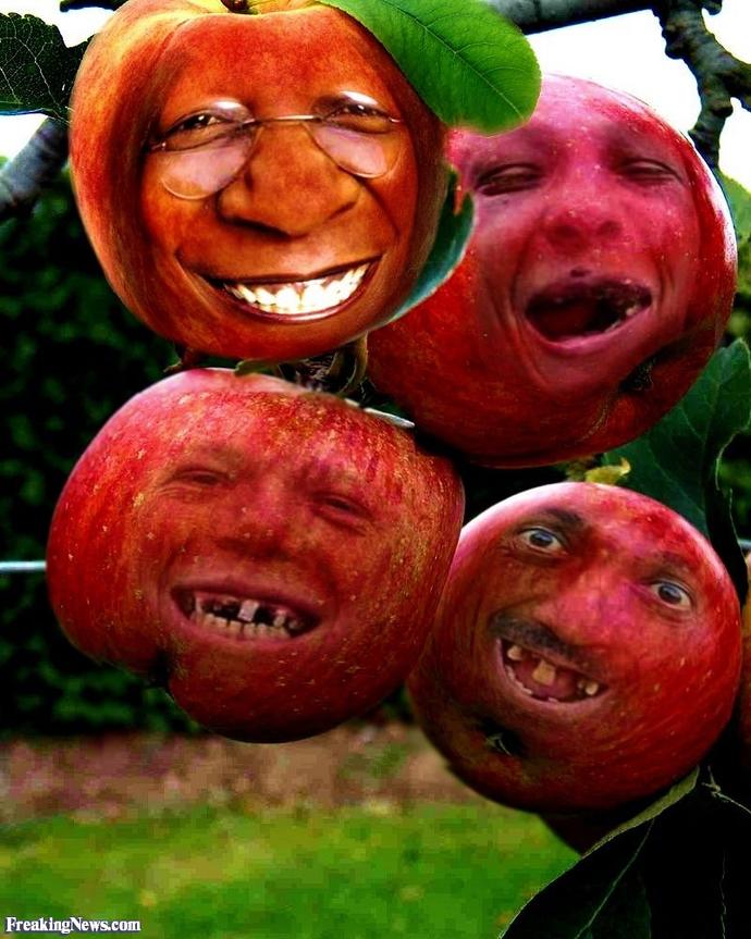 Whats your favorite fruit?