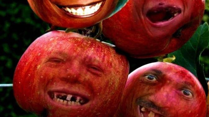 Whats your favorite fruit?